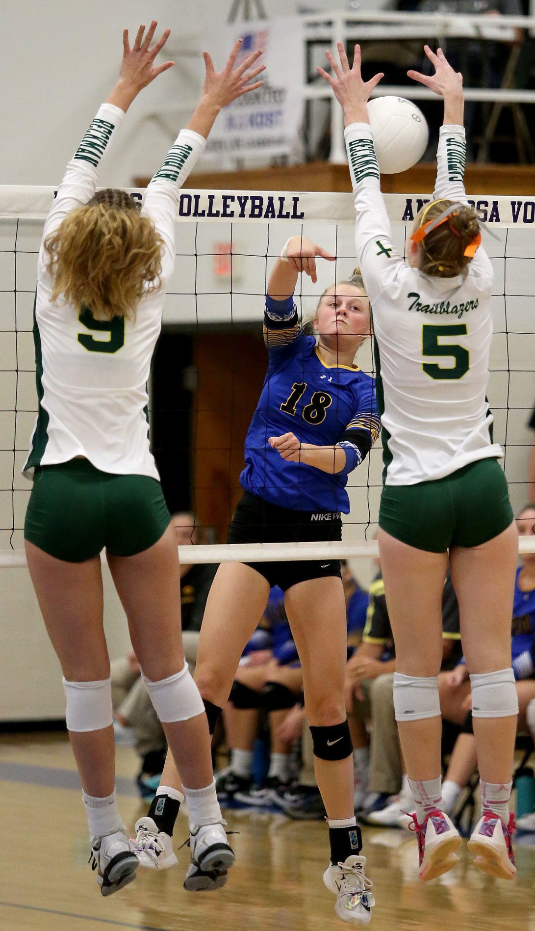 103018-Regional-Volleyball-003